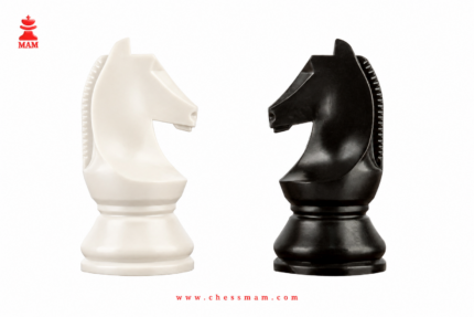 Championship 2025 pieces